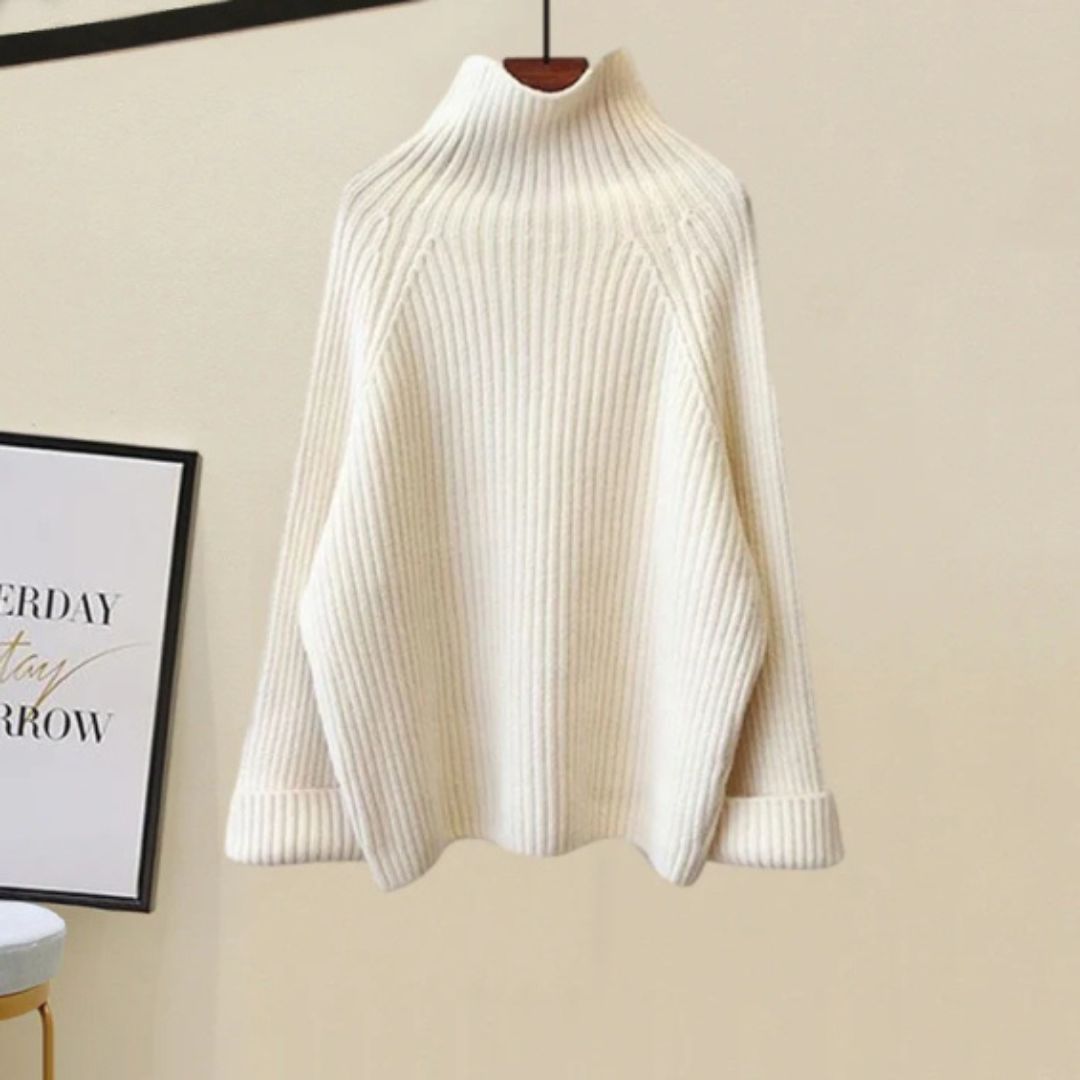 Le Lacs Cotton Blend Turtle Neck Sweater